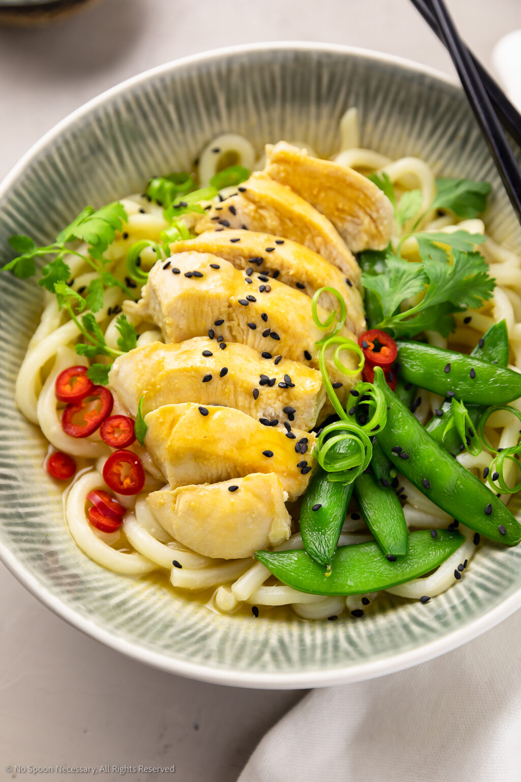 Chicken Udon Noodles - No Spoon Necessary