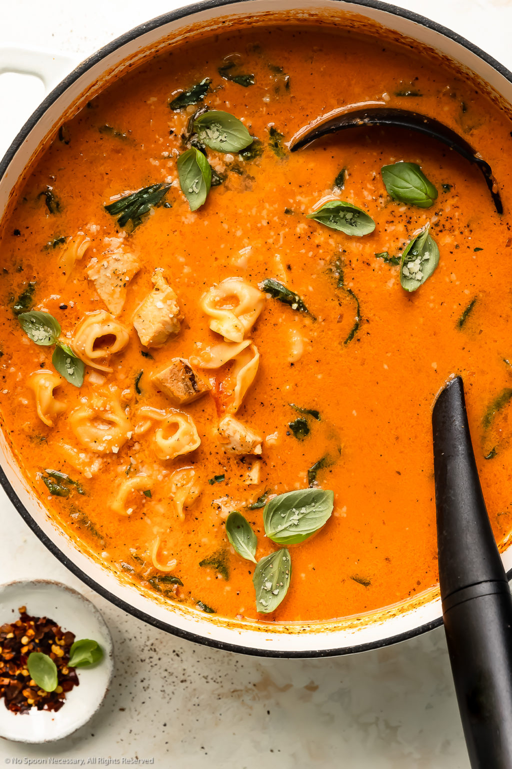 Easy Chicken Tortellini Soup - No Spoon Necessary